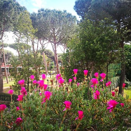 Casa Margherita Affittacamere B&B Follonica Eksteriør bilde