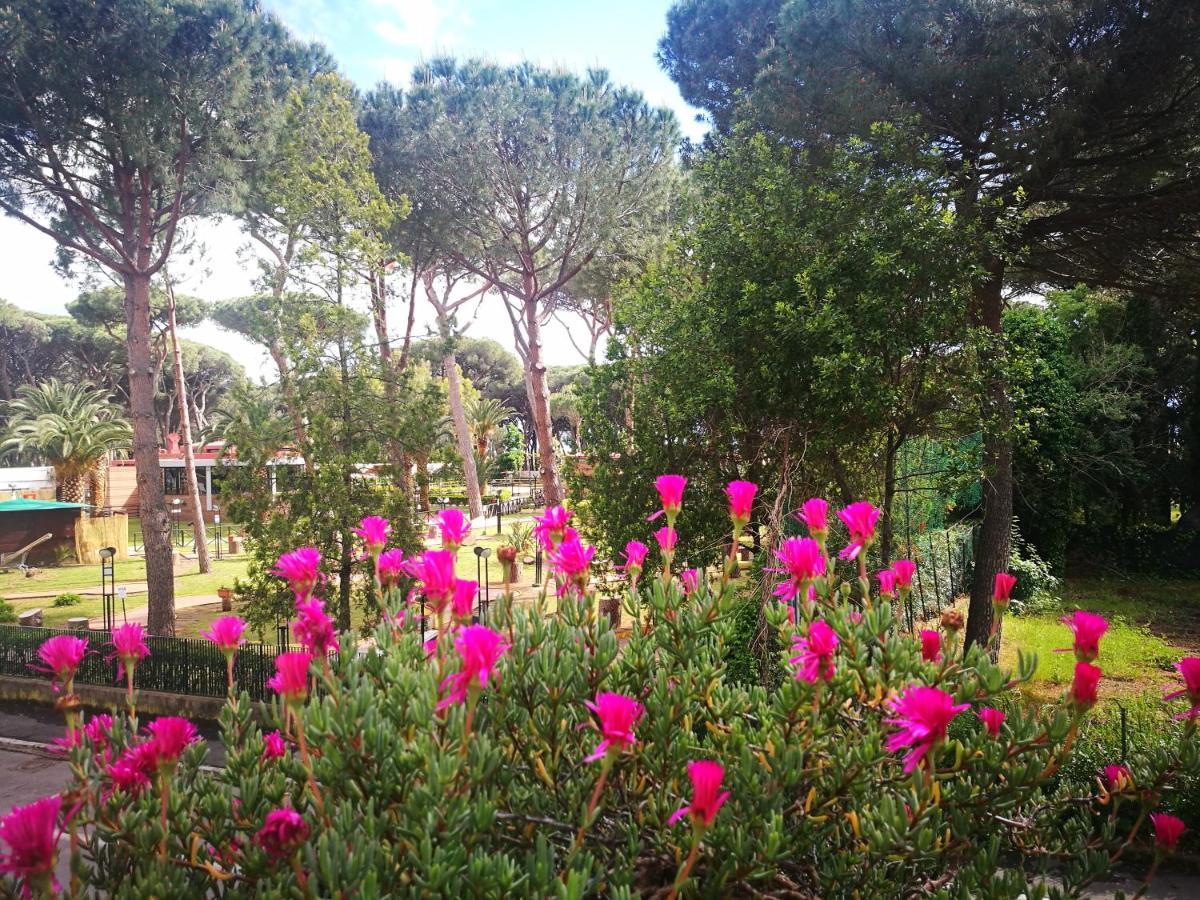 Casa Margherita Affittacamere B&B Follonica Eksteriør bilde